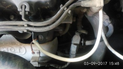 IMG_20170903_154824.jpg